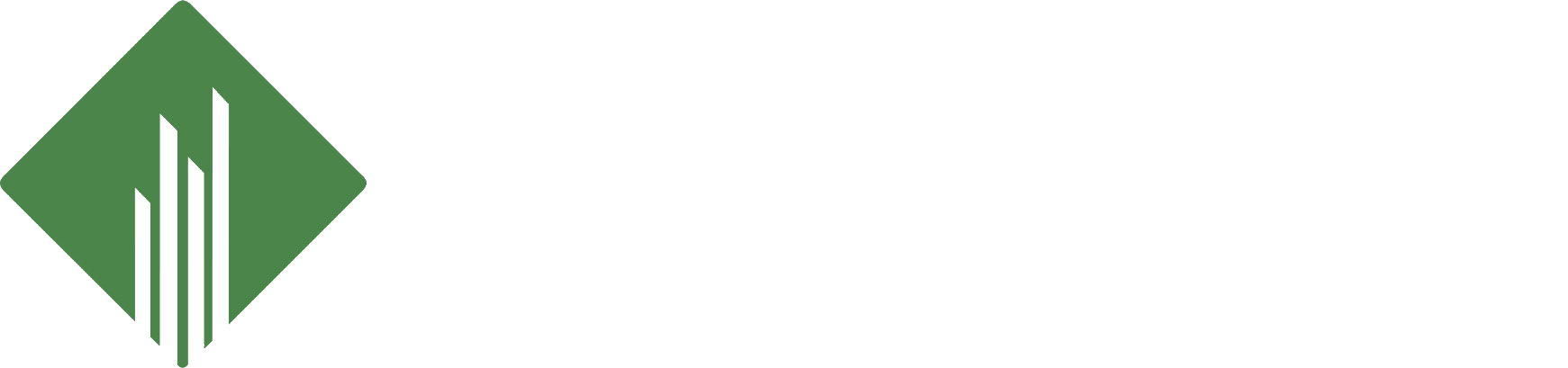 The Fountainhead Group, Inc.